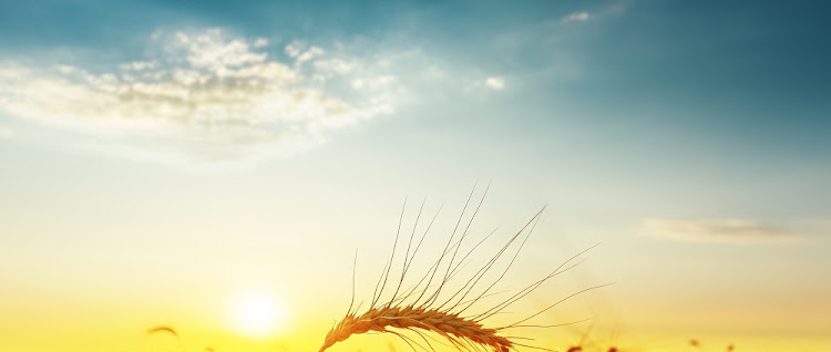 Brics might offer agriculture markets SA needs