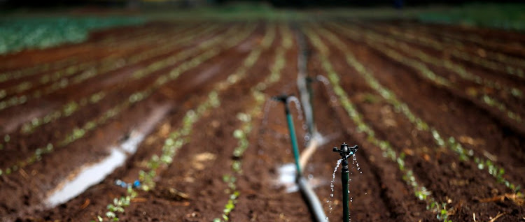 Miners’ destruction of arable land puts food security at risk
