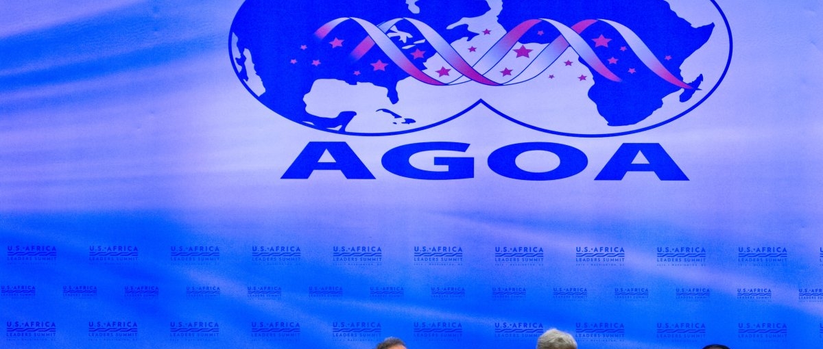 Adding a Critical Minerals Agreement to the AGOA Reauthorization